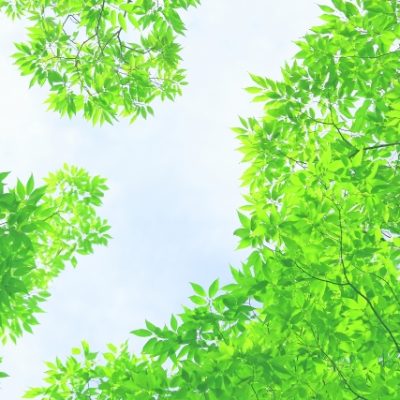 【夢占い】亡くなった人の夢にはどんな意味がある？夢に込められたメッセージを解説 アイキャッチ画像