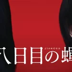 【ネタバレ】映画『八日目の蝉 』あらすじを徹底解説！