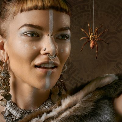 蜘蛛は幸運の使者⁈蜘蛛を見かけた時のスピリチュアルメッセージを解説！ アイキャッチ画像